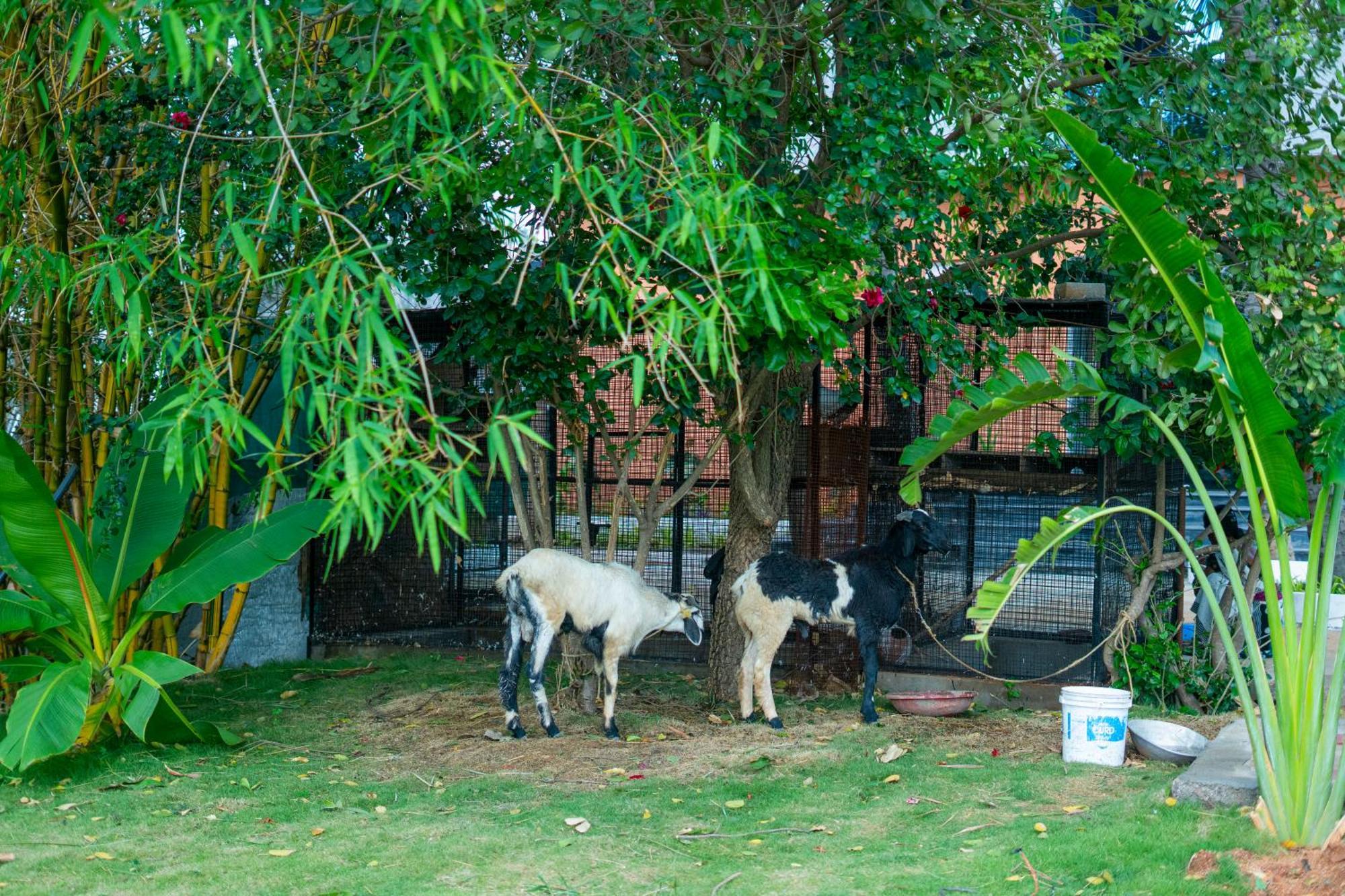 Serene Resort Hyderabad Shamshabad Esterno foto
